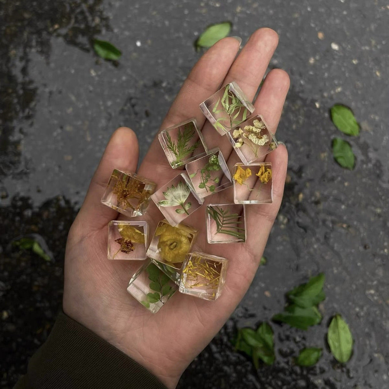 Gum Dropping Plant Embossed Dried Flower Specimen 16mm Transparent Square Creative DIY Finished Gift Little Red Book Same Gum Dropping Plant Embossed Dried Flower Specimen 16mm Transparent Square Creative DIY Finished Gift Little Red Book Same