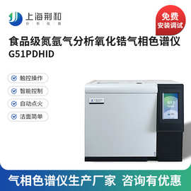 荆和 食品级氮气氧化锆气相色谱仪 高纯氮氩分析色谱仪生产厂家