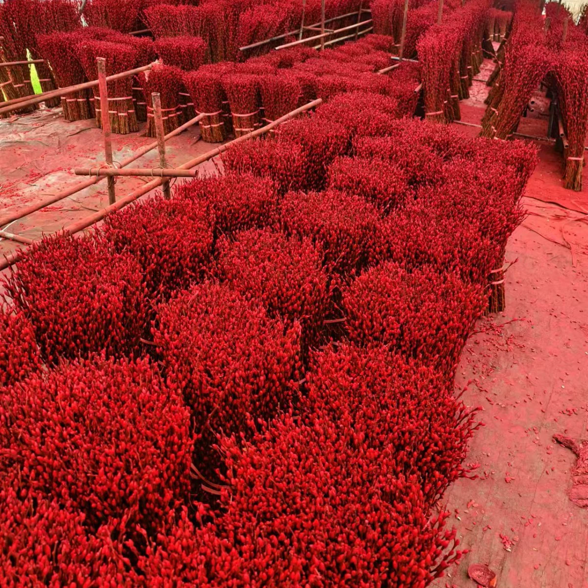 Свежие цветы красной ивы, новогодние цветы, цветы серебряной ивы, разноцветные цветы ивы, настоящие цветы, сухоцветы, напрямую от производителя, 60cm высококачественных сортов, отправка из Сычуани