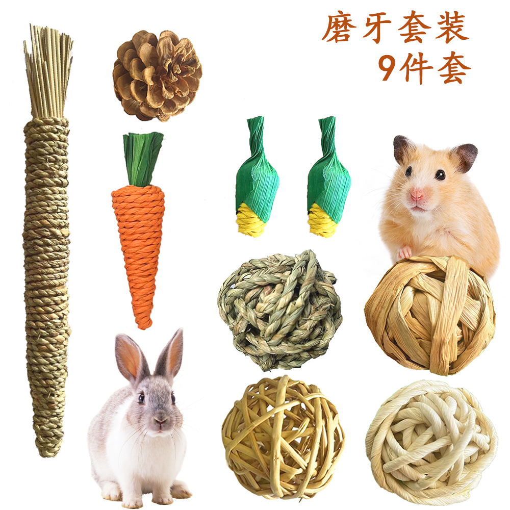 Transfronterizo mascota molar traje conejo hámster Totoro mordedura aliviar juguete relleno combinación pequeña mascota juego suministros venta al por mayor