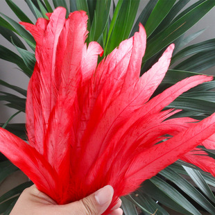 ��β�Ʒ�����ˇƷ���Ó����ë���b�o���L�S��ֱ�Ndiy�ֹ���ë