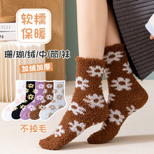 珊瑚绒袜子女日系家居加绒地板袜冬季保暖袜加厚秋冬小花中筒女袜
