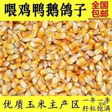 �Bֳι���l������~���װ��]�Z�i������10���������u��0��Cɢ�b