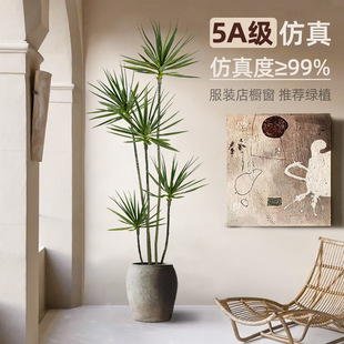 ����Gֲ�[����ֲ���b��҃�ǧ��ľ�������Է����Gֲ�͏d�����辰