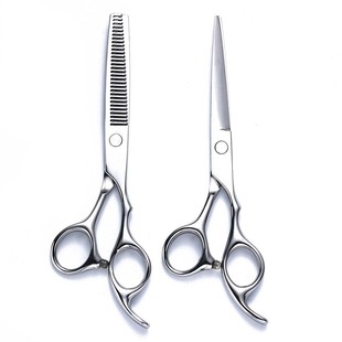 Cross-border explosions haircut scissors professional thin cut 6 inch 4CR flat teeth hair salon hair stylist hair scissors set