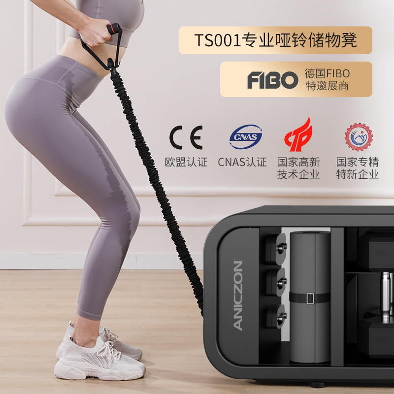 Silla de gimnasio multifuncional de soporte supino para equipos de enseñanza privada bastidor de halteres pequeño bastidor de almacenamiento cuerda de tracción 2 en 1