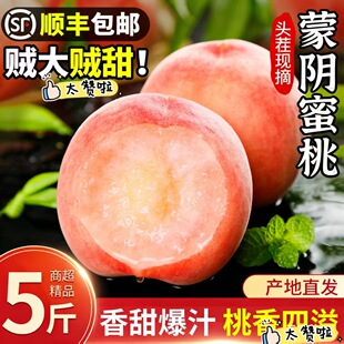 ɽ�|���ˮ�����r��5��6���A�۰��]һ�����l��S�t�Ļ�����