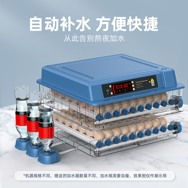 Incubadora de Huevos Inteligente para Codornices, Máquina de Incubación Inteligente para Cría de Aves, Fabricante Original