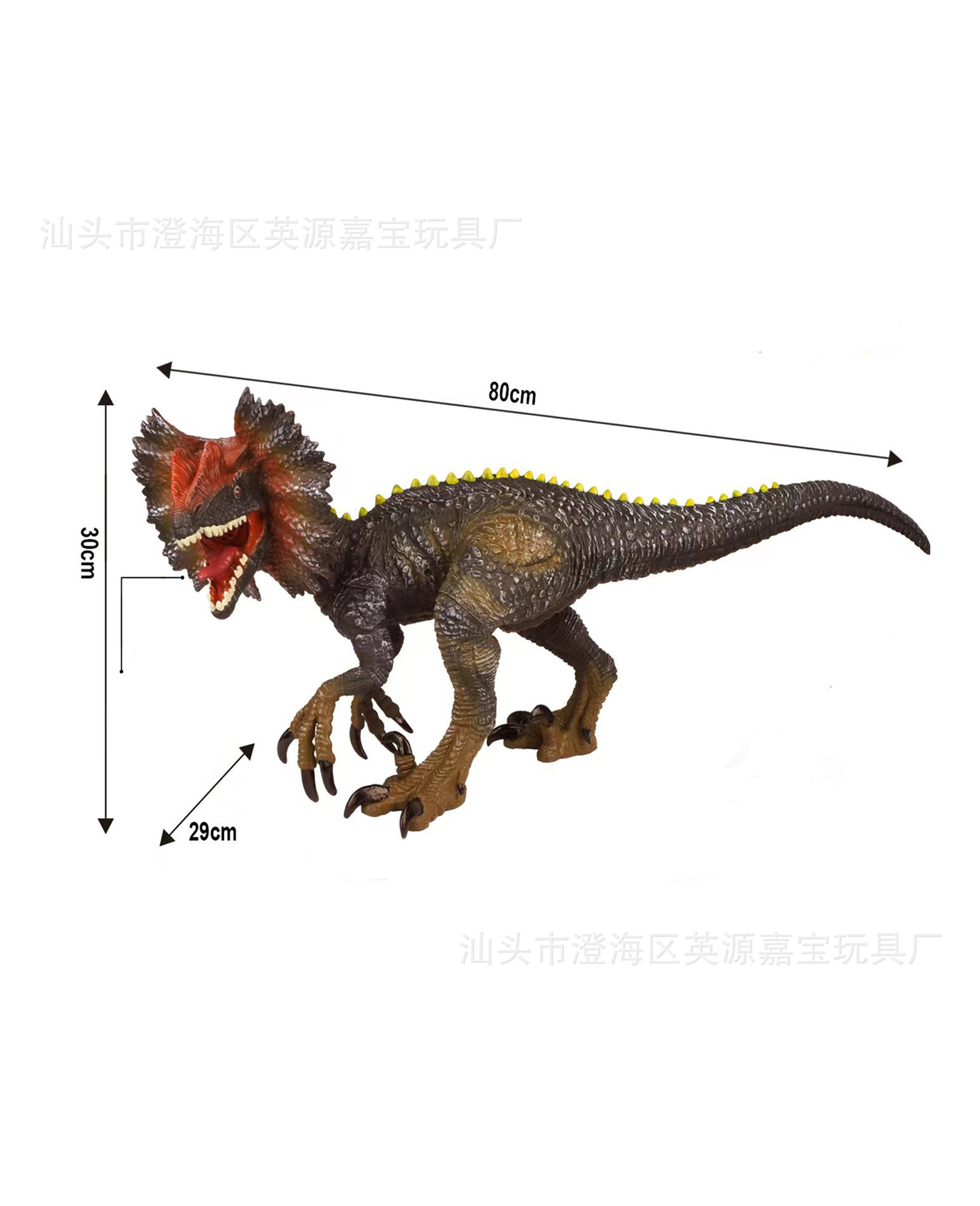 【80 시리즈】80cm 시뮬레이션 대형 더블 크라운 드래곤