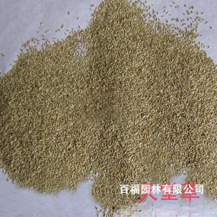 ���l���òݷN�� ��ƺ�N�����`̤ ���� ���޼����@�Θ�������