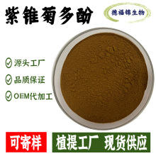 紫锥菊提取物紫锥菊多酚 4%菊苣酸2%4%量大从优现货包邮可寄样