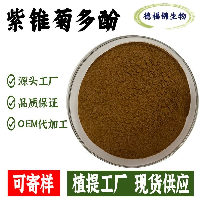 紫锥菊提取物紫锥菊多酚 4%菊苣酸2%4%量大从优现货包邮可寄样