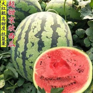 ����һ̖���ϷN�ѱ�Ƥ���������ϷN���ļ�ͥԺ�׷Nˮ���N��