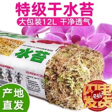 生态瓶干水苔蝴蝶兰青苔兰花石斛土苔藓乌龟垫料捕蝇草猪笼草批发