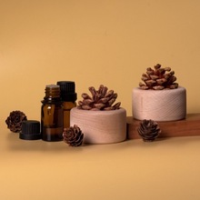 �羳��Ʒ�W���M�ڙ�ľ��Ȼ��؛�]�l�U��ľ������޹ԭ��