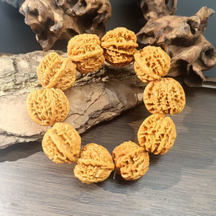 ���Ұ�����������ֳ������ִ����������������Ѽ���Ů���l