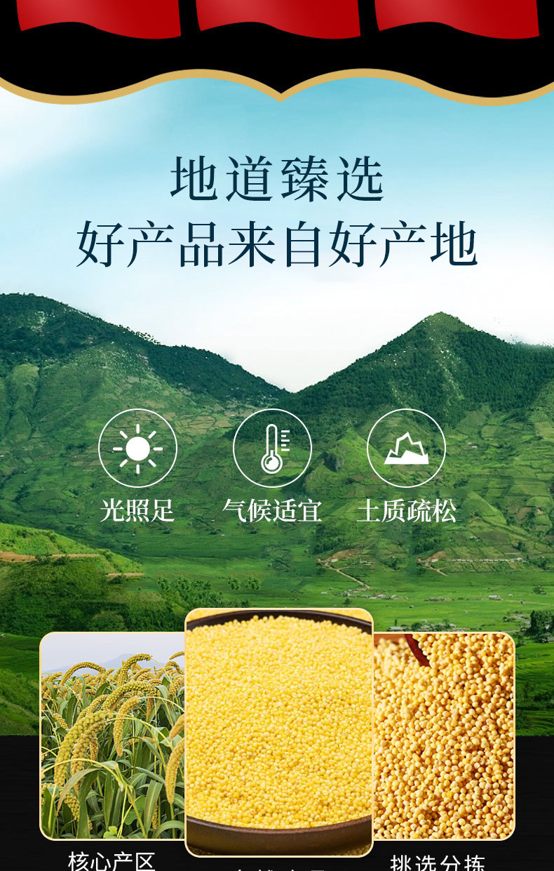 Shu Mi (Panicum miliaceum) — Broomcorn Millet Grain for Congee & Five-Grain Porridge key features