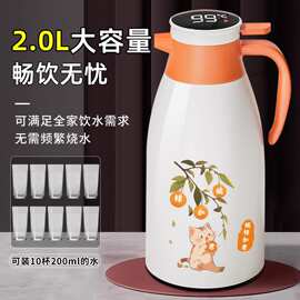 内胆家用热水瓶保温水保温壶2024新款壶大容量暖水瓶暖壶暖瓶玻璃