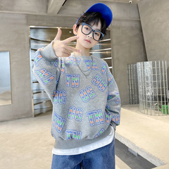 Children's Apparel Men's Hoodie Autumn Collection 2024 New Children's Long Sleeve T-Shirt for Big Kids Trendy and Stylish Spring and Autumn Edition