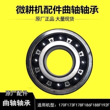 �L�����΢���C�l늙C���/170/173/178/186/188/192F���S�S��