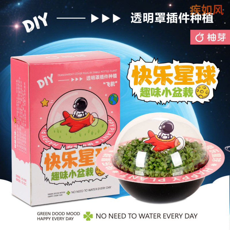 วันเด็กสนุกพืชกล่องตาบอดนักเรียนในร่ม diy พืชสีเขียวไม้กระถางที่ดีที่จะเลี้ยงดอกไม้บอนไซเครื่องประดับขายส่ง