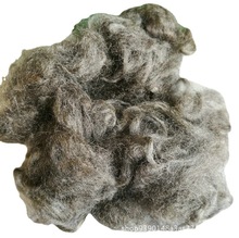 ��y�����y�w�S���w�켏��Ī������z�־���늿��o늼���