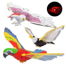 ��������������w�����W�^�l늄ӵ����w�����ﰲ�����