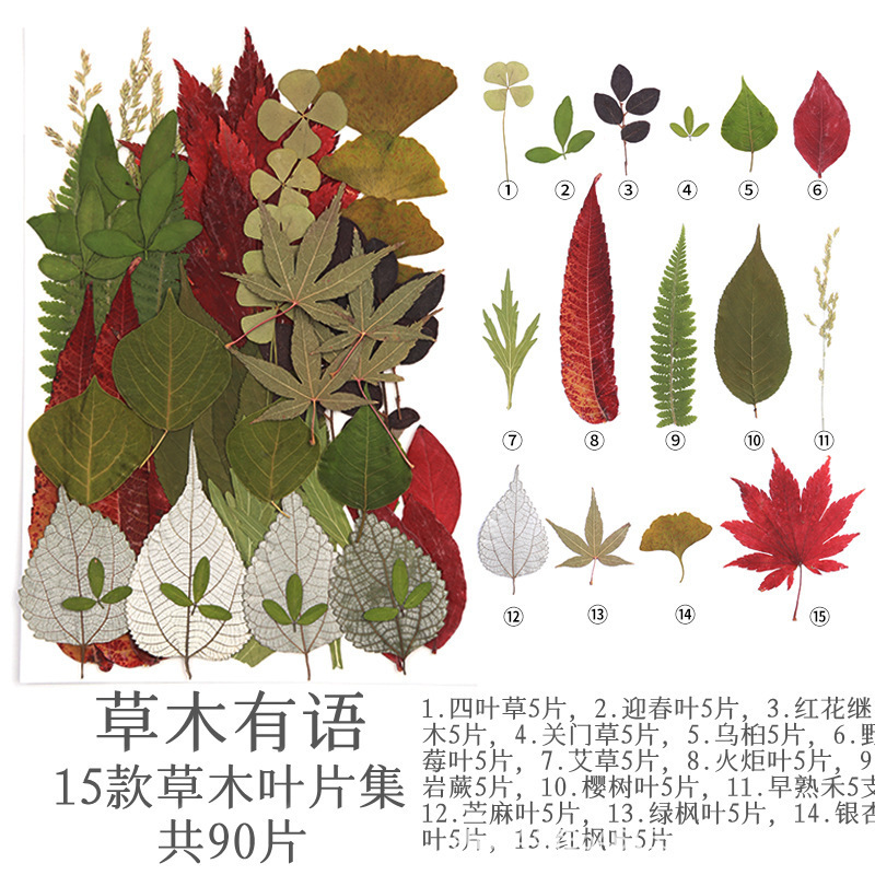 풀과 나무는 말한다 (90개)