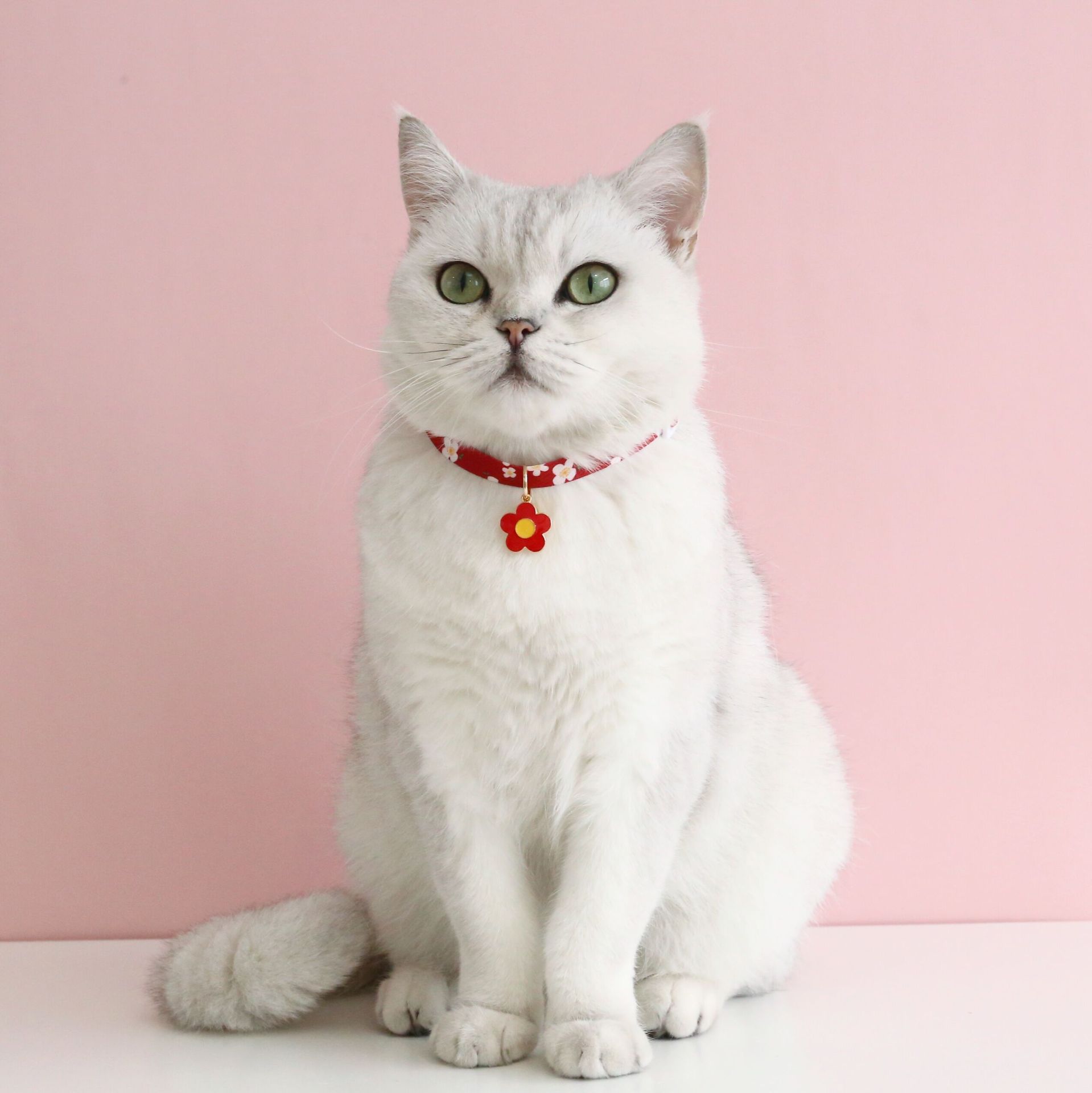 QQ图片20221009164453