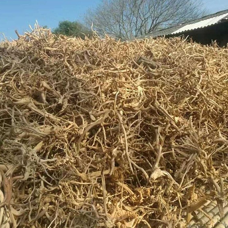 细枝条根须虾木栖根杜鹃根青龙石沉木鱼缸造景素材雨林水陆爬宠