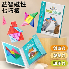 磁力片/球;餐厨具玩具;其他益智玩具