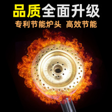 ๦Һ⿾cըFһwCP|󿾵chtҹД[