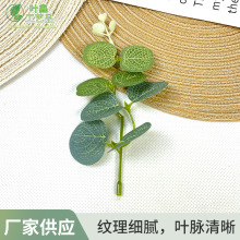 �ȼ������X��2025�¿��ֹ������~����Ҿӻ�c���l���滨����Gֲ