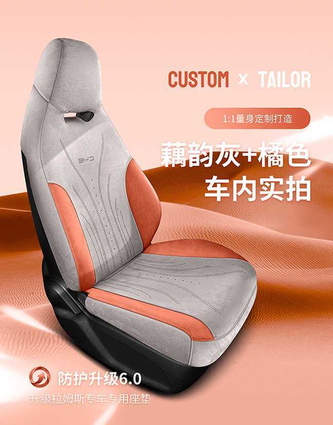 25 Byd Dolphin Special Seat Cover Rams Perforated Breathable Seat Cushion Universal for All Seasons Car Seat Cover