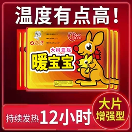 暖贴、暖宝宝;日用冰贴;保健器具配件