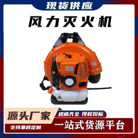 扑救风力灭火机工地浮土大风量吹风机庭院积雪清理机