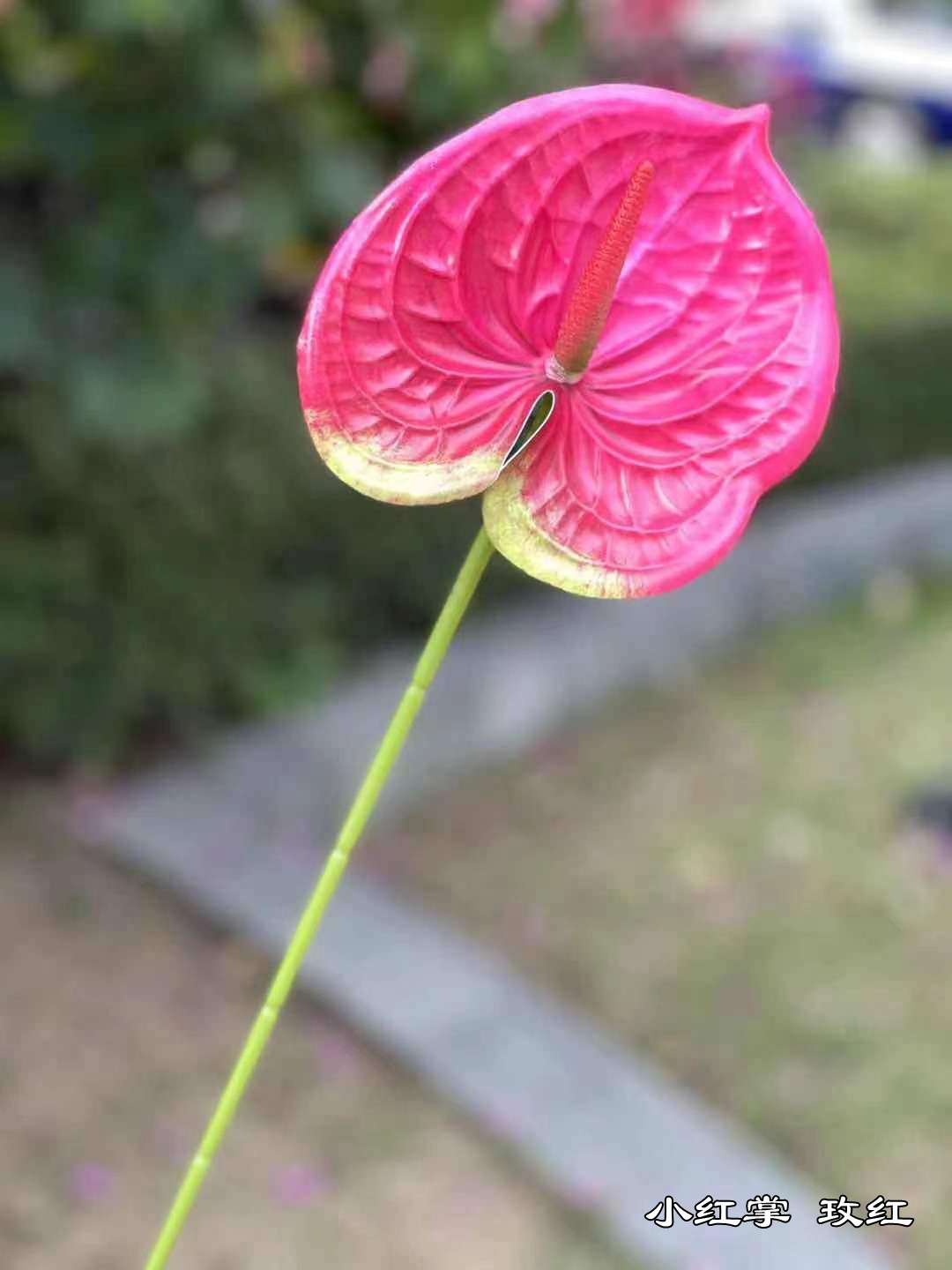 微信图片_20220318142721