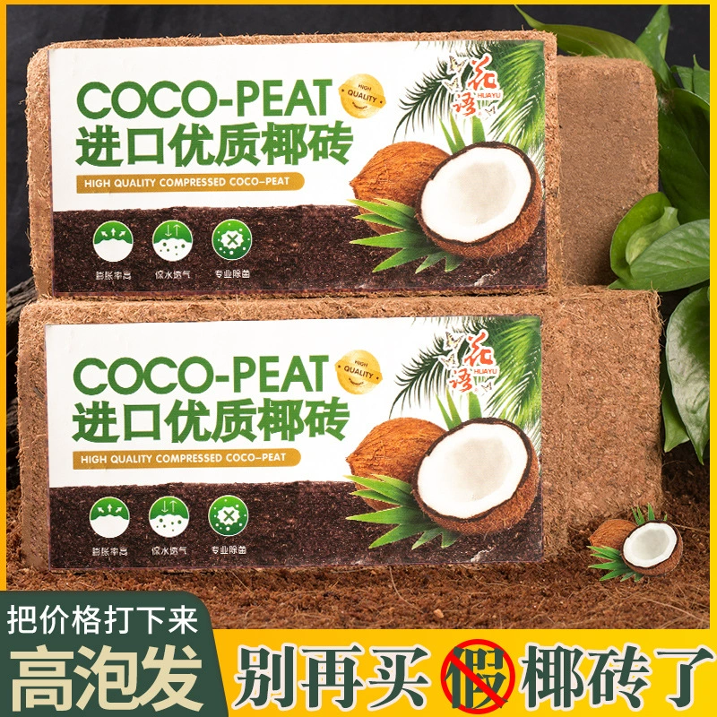 Кокосовый кирпич Посадка питательных веществ почвы Сад Кокосовый кирпич Альпинизм Домашнее животное Специальный цветочный горшок Кокосовая почва в горшках мясистые зеленые растения Цветы
