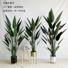 仿真天堂鳥旅人蕉盆景客廳盆栽植物大型裝飾擺件仿真樹綠植批發