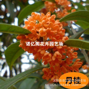 �𻨘����ļ��������҃Ȼ���ֲ���𵤹�ͥԺ�������ͱ����ͺ�