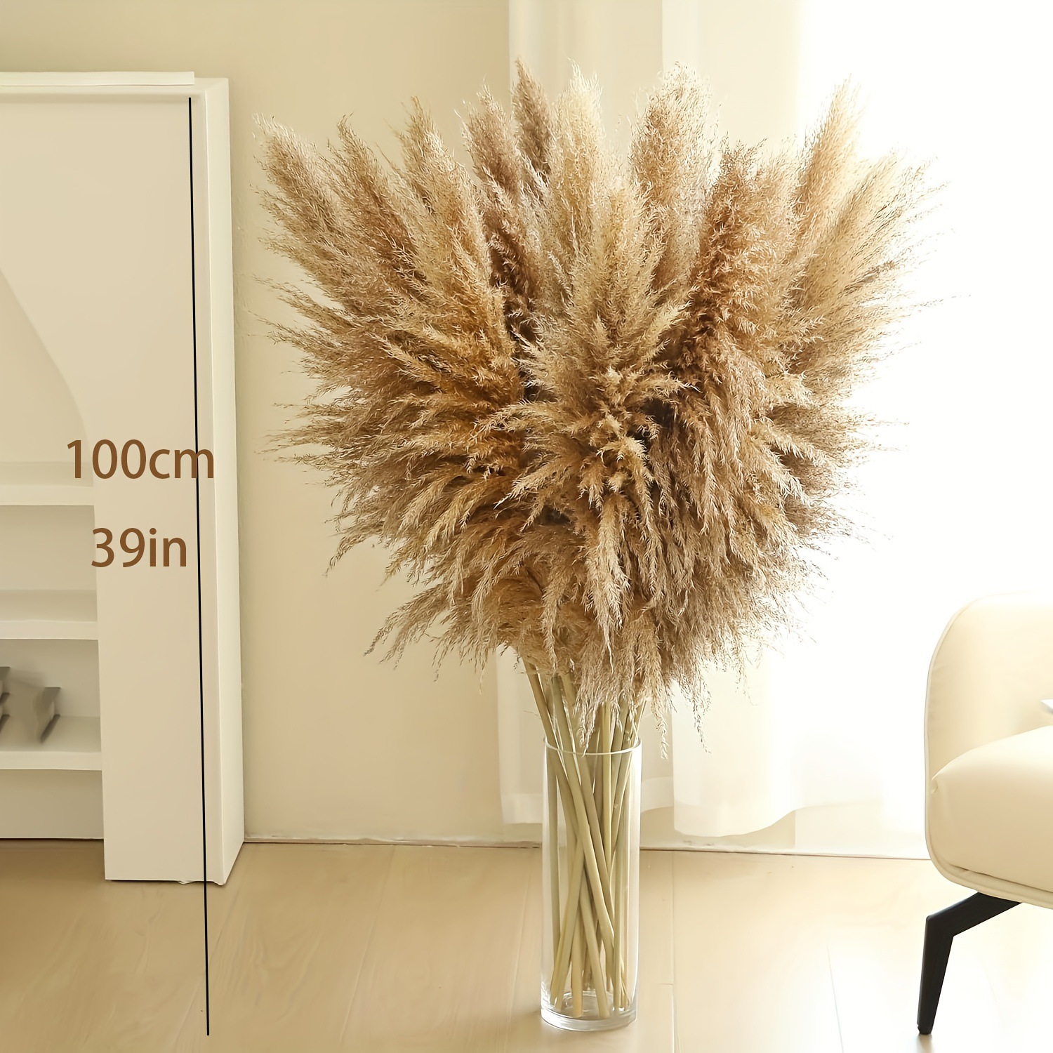 1m 수컷 팜파스 10개, 총 길이 1m (귀 길이 60-70cm)