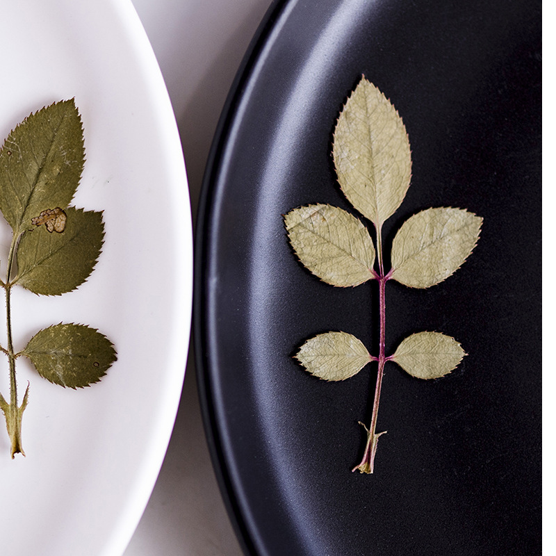 Rose Leaf Dried Flower Plant Specimen Gel Dropping Mobile Phone Shell Aromatherapy Candle I Photo Frame Bookmark Nail Art Flower DIY Material Rose Leaf Dried Flower Plant Specimen Gel Dropping Mobile Phone Shell Aromatherapy Candle I Photo Frame Bookmark Nail Art Flower DIY Material