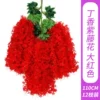 Lilac Wisteria Flower - Big Red
