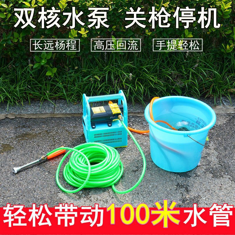 手提式电动喷雾器多功能农用高压果树打药抽水机洗车大功率双泵机