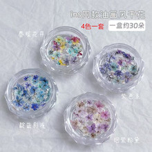日系ins风迷你美甲干花blc同款混彩天然押花干燥花花苞穿戴甲饰品