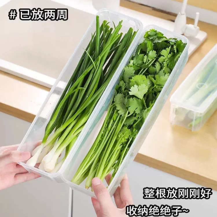 香菜小葱收纳盒冰箱保鲜盒芫荽整根收纳神器面条鸡蛋备菜保鲜密封