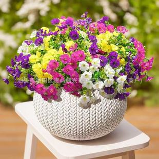 ���쁆�R�d���滨�ȼ���������ţ�����Ȳ����Ҿ��҃ȑ��⻨�@�b�