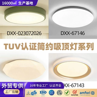 TUV认证欧美外贸简约吸顶灯系列支持验厂