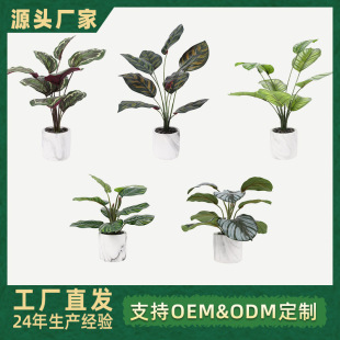 �羳����Gֲ�����^���^�~���Լ٘�ٻ��҃��b����^���ޔ[��