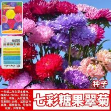 ߲ǹշNشջǹļ_̨҃ͥԺ׷Nֲ